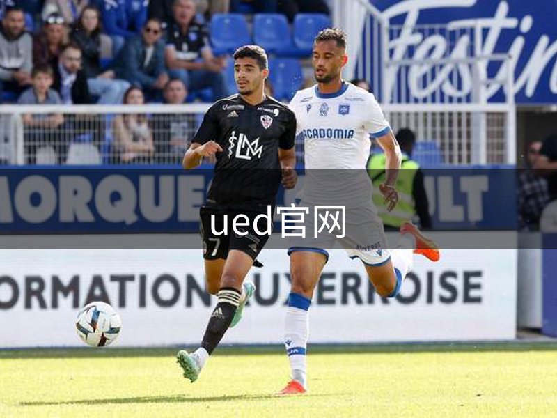 了解ued官网